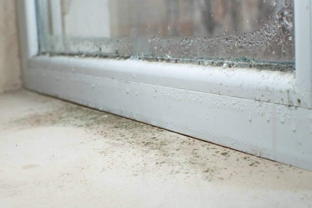 Best Mold Removal for HVAC Installations  in Rancho Mirage, CA